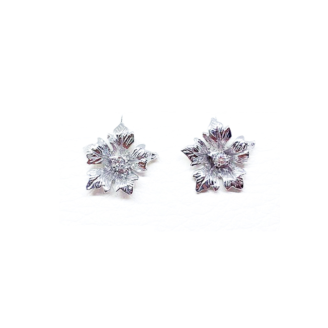 Silver Earrings with Diamonds